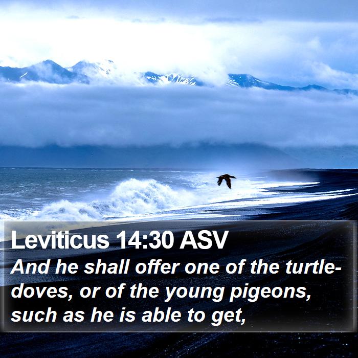 Leviticus 14:30 ASV Bible Study