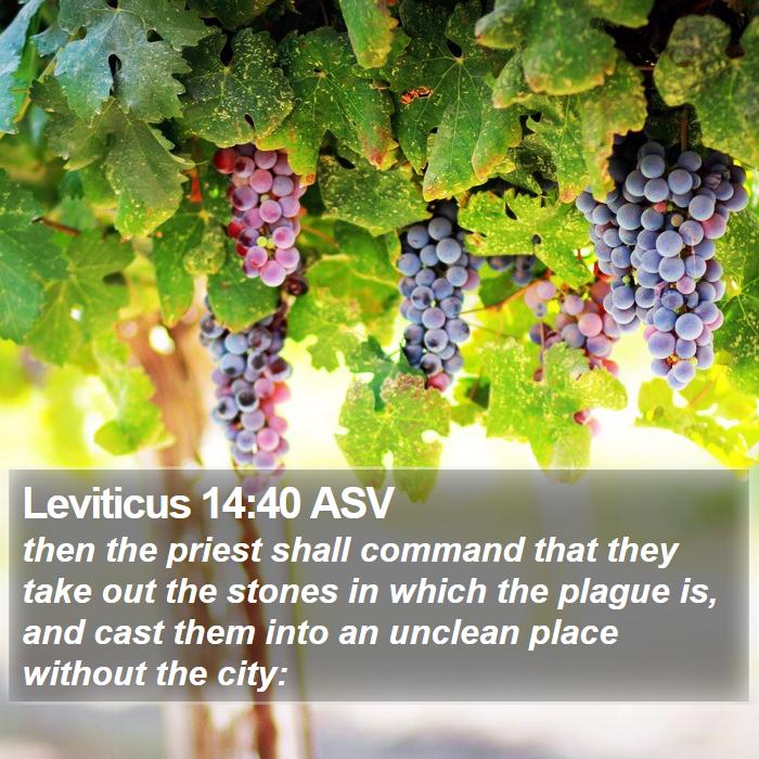 Leviticus 14:40 ASV Bible Study