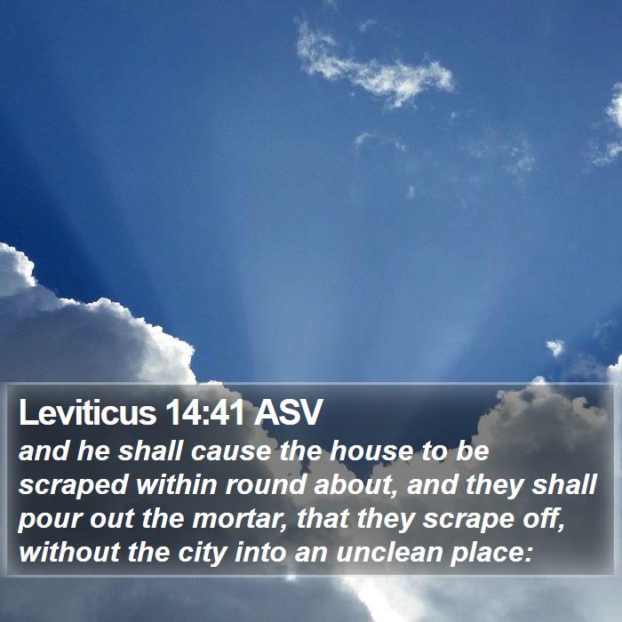 Leviticus 14:41 ASV Bible Study