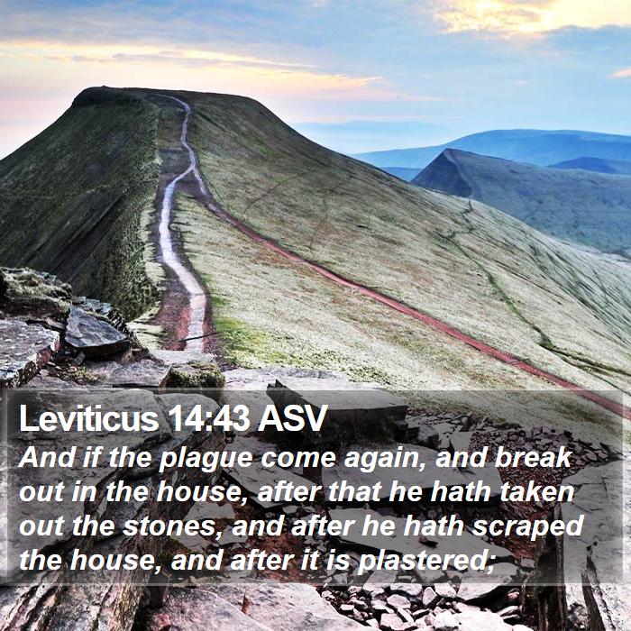 Leviticus 14:43 ASV Bible Study