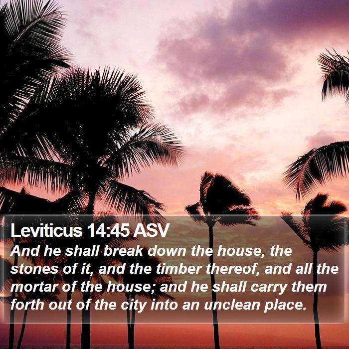 Leviticus 14:45 ASV Bible Study