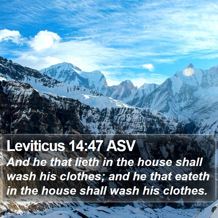 Leviticus 14:47 ASV Bible Study