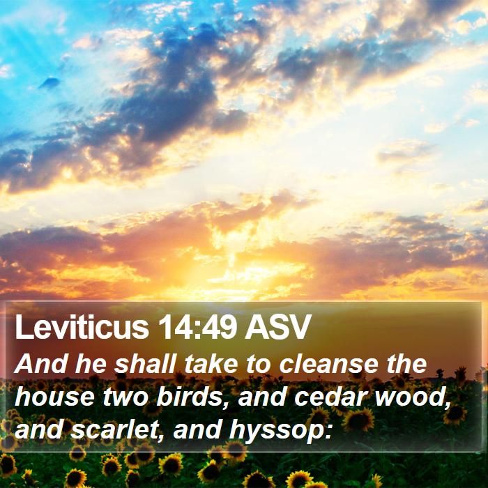 Leviticus 14:49 ASV Bible Study