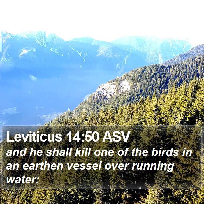 Leviticus 14:50 ASV Bible Study