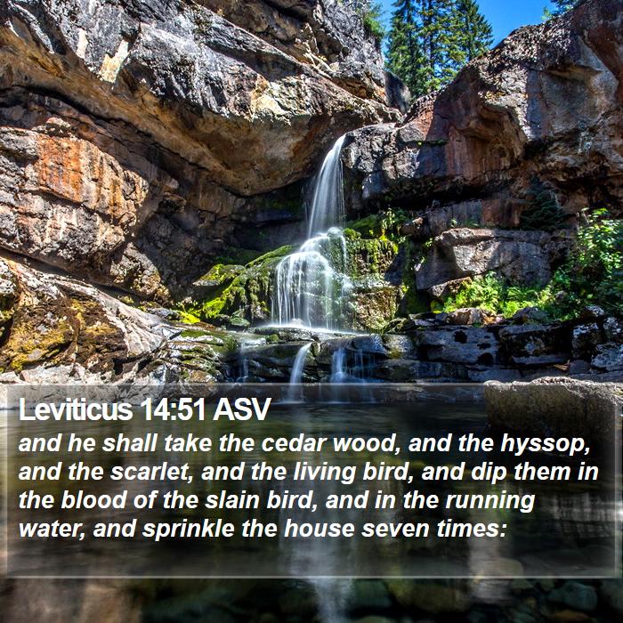 Leviticus 14:51 ASV Bible Study