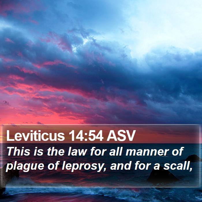 Leviticus 14:54 ASV Bible Study