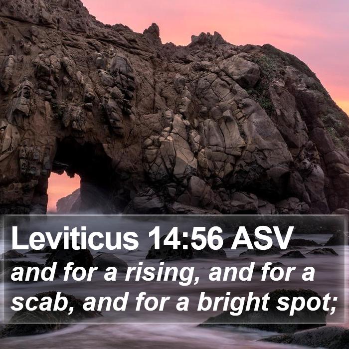 Leviticus 14:56 ASV Bible Study