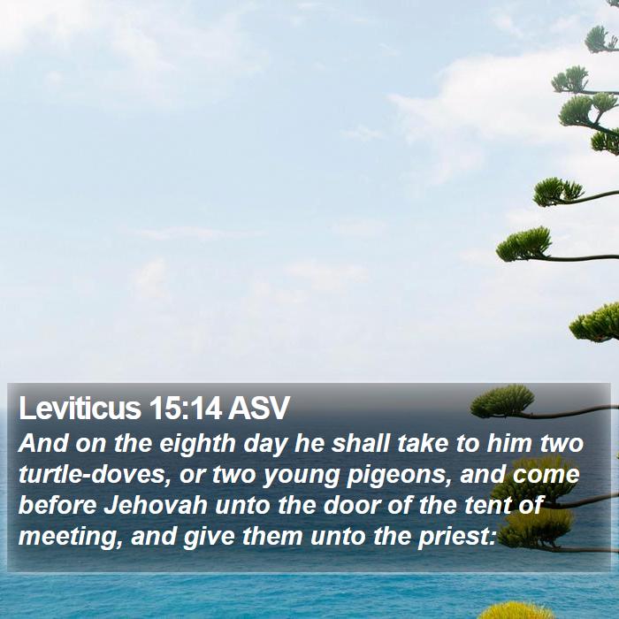 Leviticus 15:14 ASV Bible Study