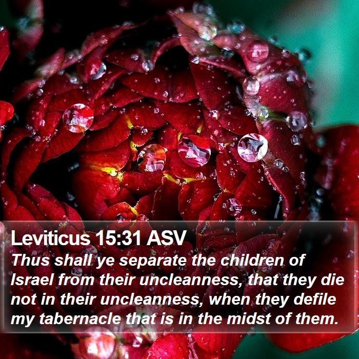 Leviticus 15:31 ASV Bible Study