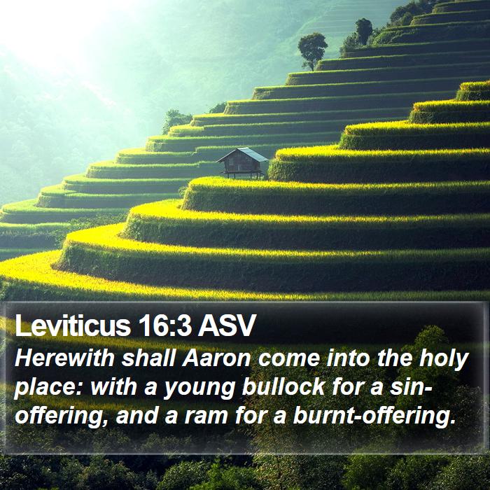 Leviticus 16:3 ASV Bible Study