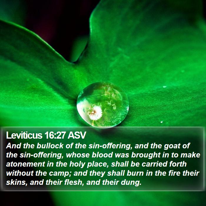 Leviticus 16:27 ASV Bible Study