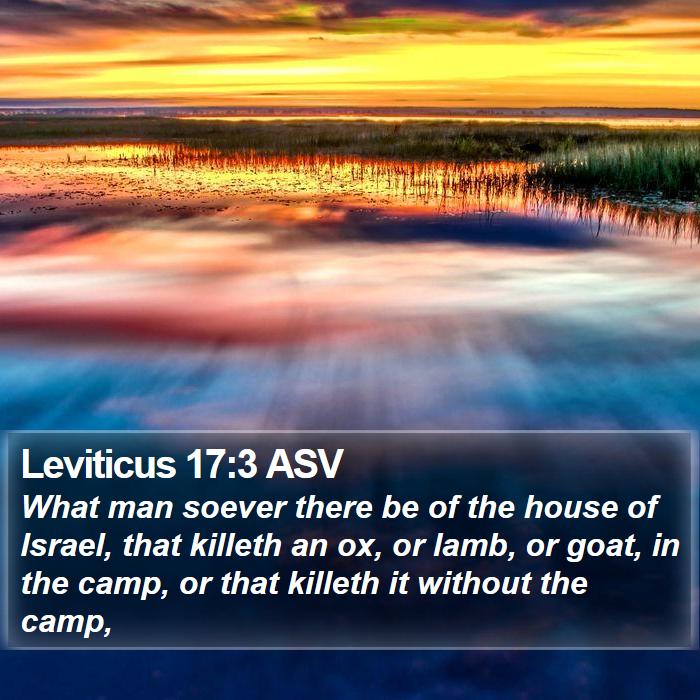 Leviticus 17:3 ASV Bible Study