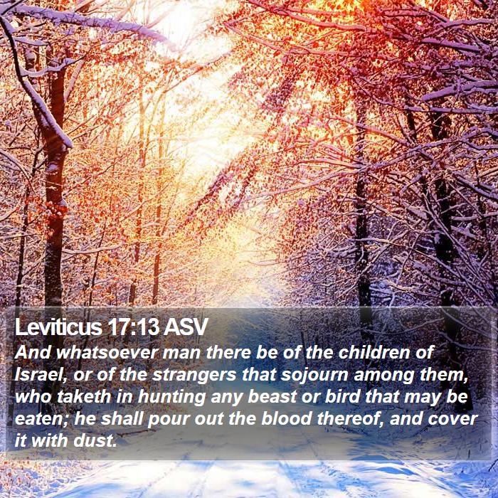 Leviticus 17:13 ASV Bible Study