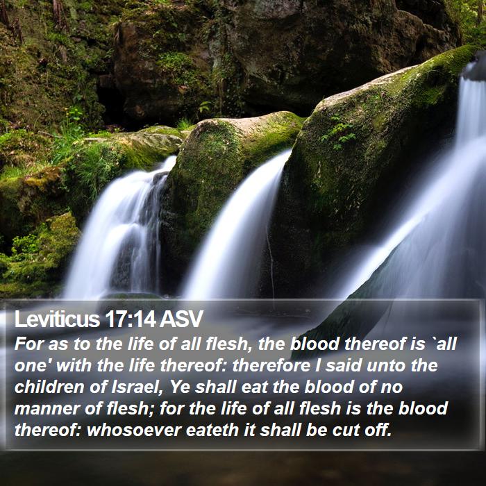 Leviticus 17:14 ASV Bible Study