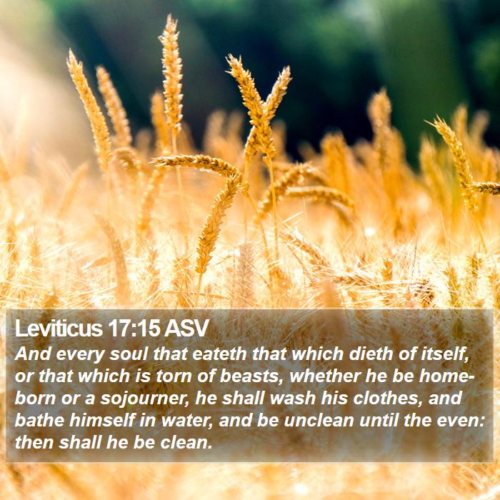 Leviticus 17:15 ASV Bible Study