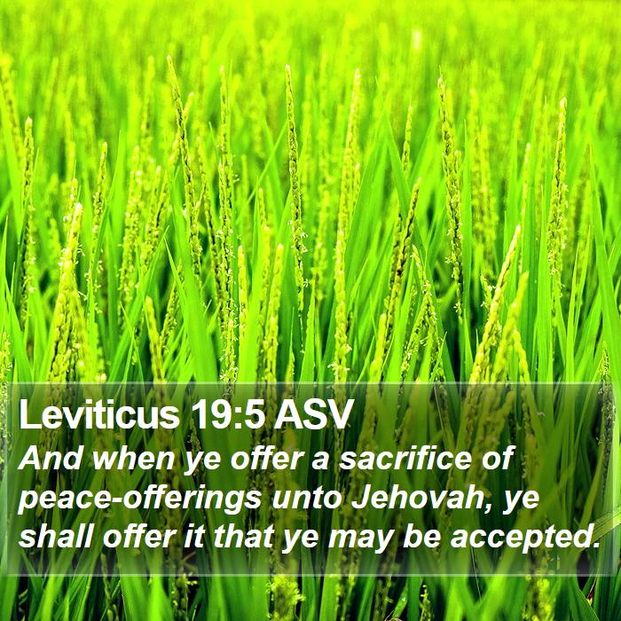 Leviticus 19:5 ASV Bible Study