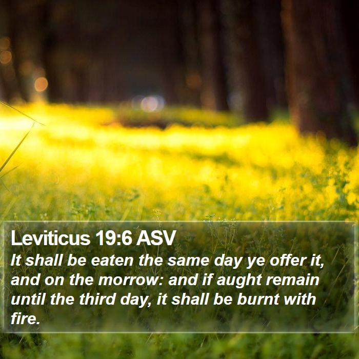 Leviticus 19:6 ASV Bible Study