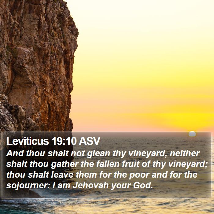 Leviticus 19:10 ASV Bible Study