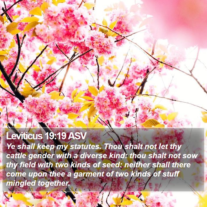 Leviticus 19:19 ASV Bible Study