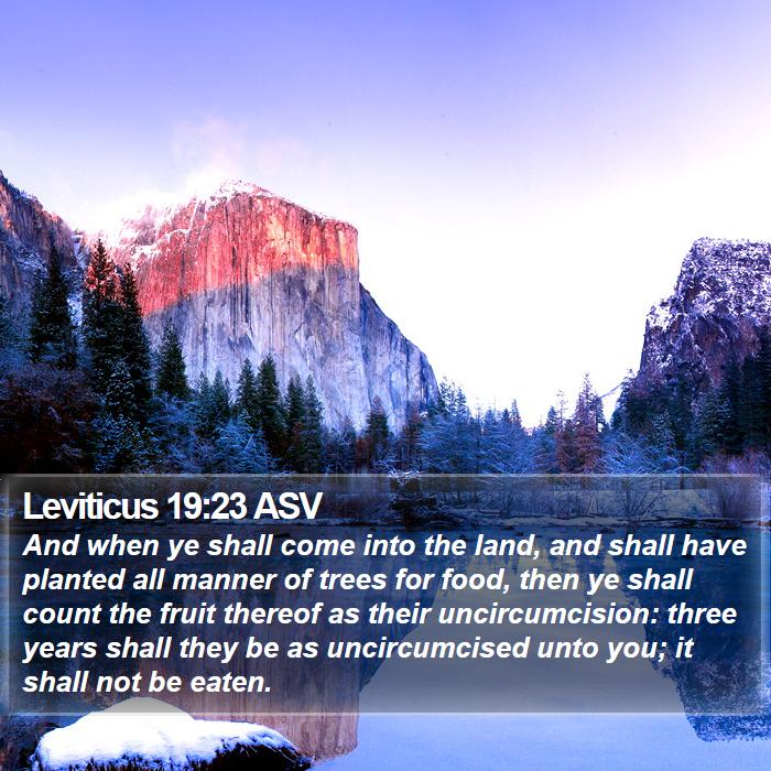 Leviticus 19:23 ASV Bible Study