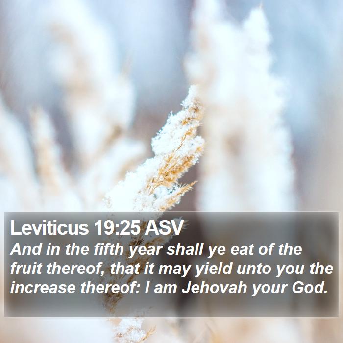 Leviticus 19:25 ASV Bible Study