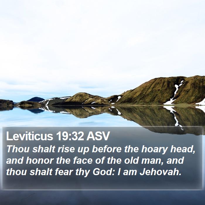 Leviticus 19:32 ASV Bible Study