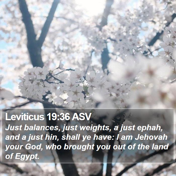 Leviticus 19:36 ASV Bible Study