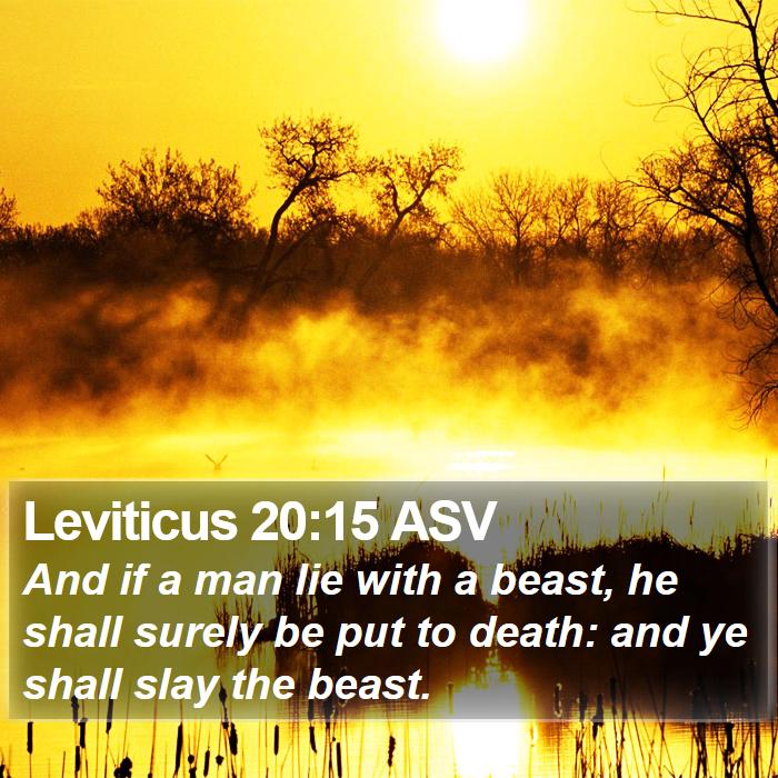 Leviticus 20:15 ASV Bible Study