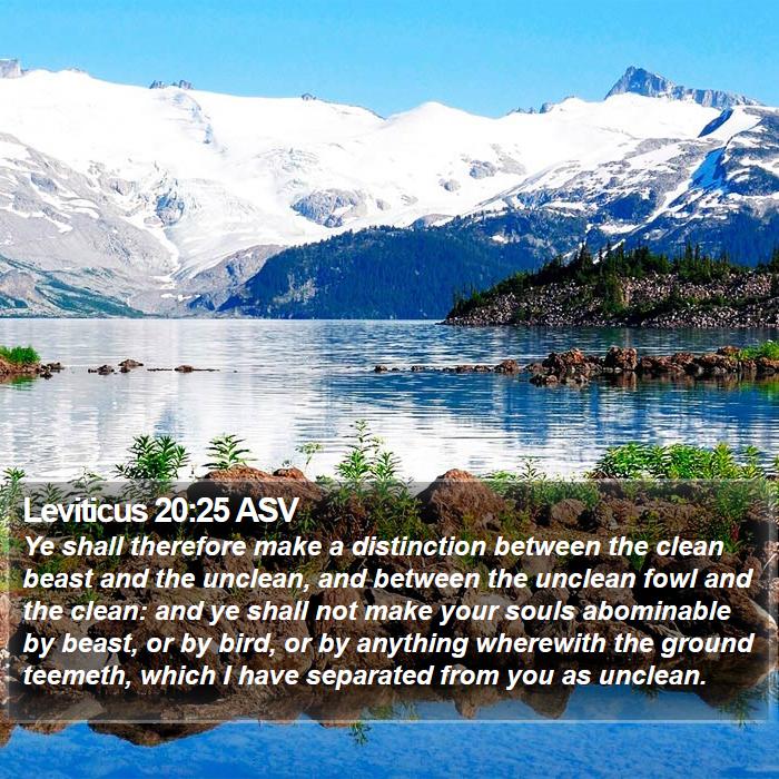 Leviticus 20:25 ASV Bible Study