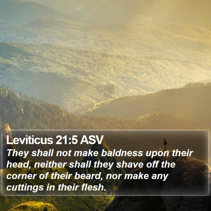 Leviticus 21:5 ASV Bible Study