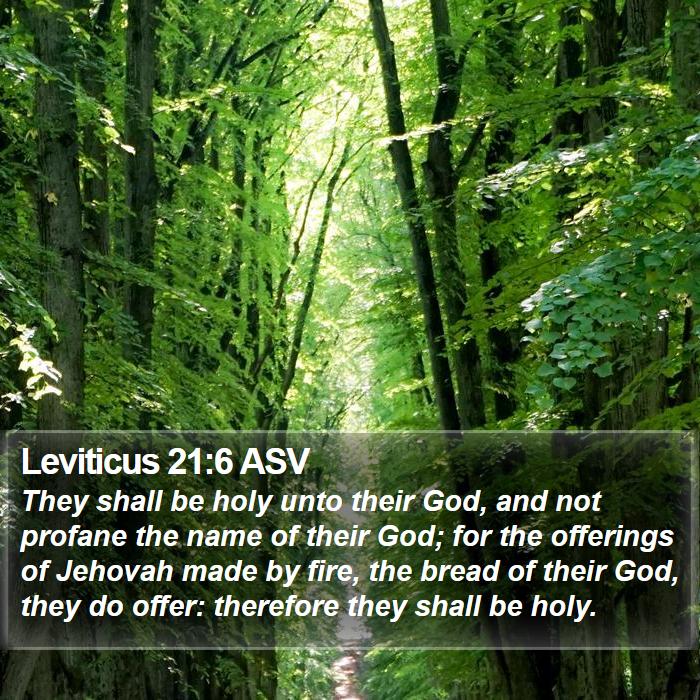 Leviticus 21:6 ASV Bible Study