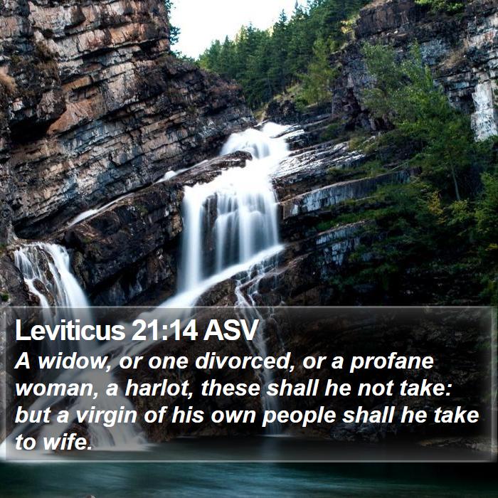 Leviticus 21:14 ASV Bible Study