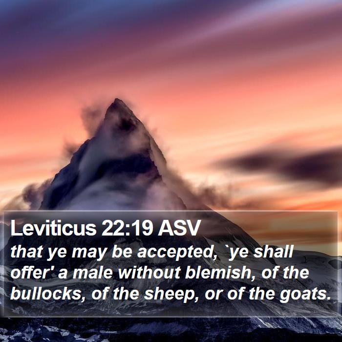 Leviticus 22:19 ASV Bible Study