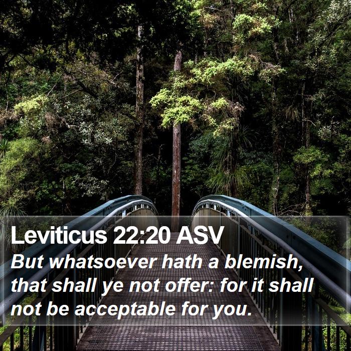 Leviticus 22:20 ASV Bible Study