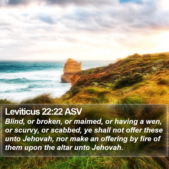 Leviticus 22:22 ASV Bible Study