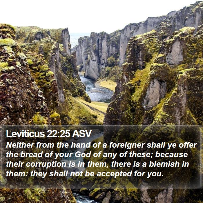 Leviticus 22:25 ASV Bible Study