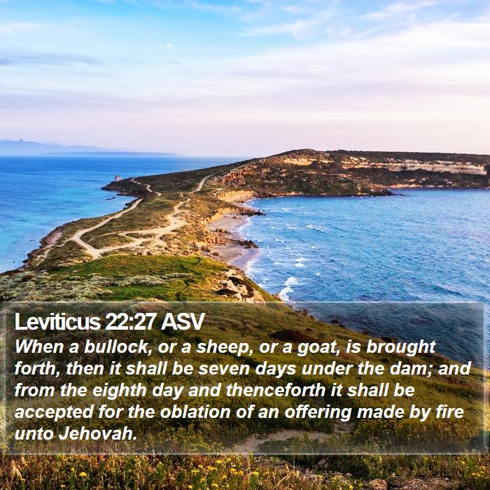 Leviticus 22:27 ASV Bible Study