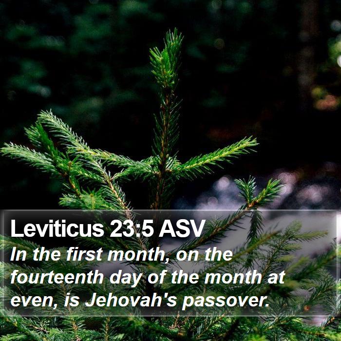 Leviticus 23:5 ASV Bible Study