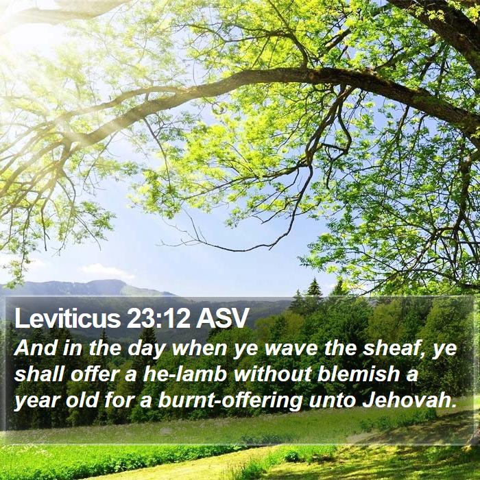 Leviticus 23:12 ASV Bible Study