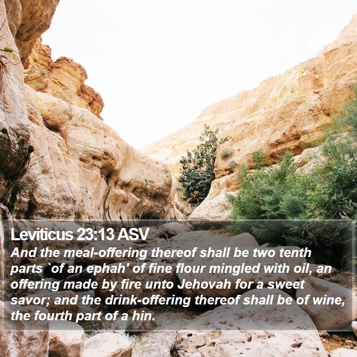 Leviticus 23:13 ASV Bible Study