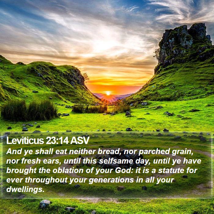 Leviticus 23:14 ASV Bible Study