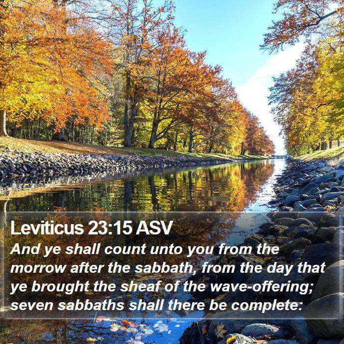 Leviticus 23:15 ASV Bible Study