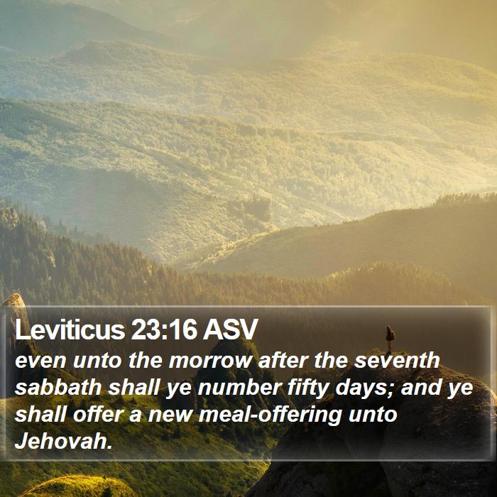 Leviticus 23:16 ASV Bible Study