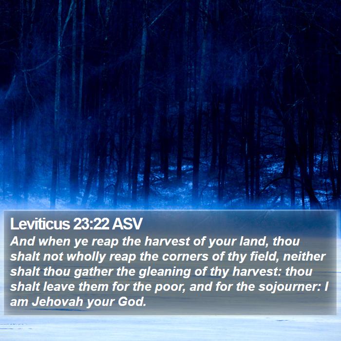 Leviticus 23:22 ASV Bible Study