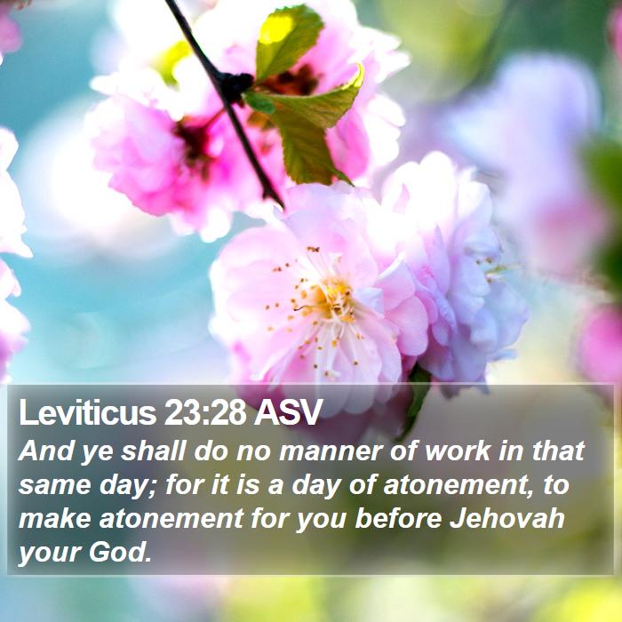 Leviticus 23:28 ASV Bible Study