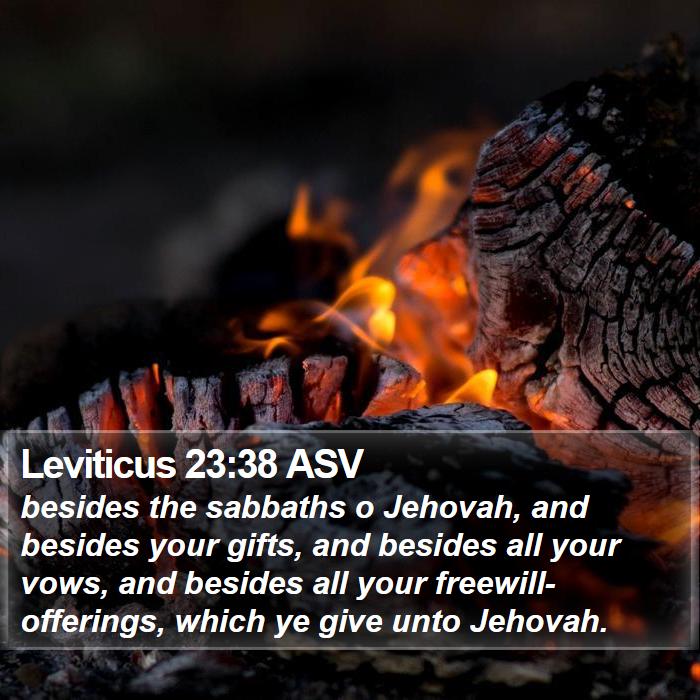 Leviticus 23:38 ASV Bible Study