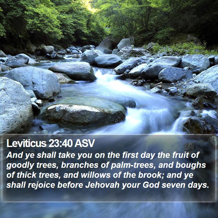 Leviticus 23:40 ASV Bible Study