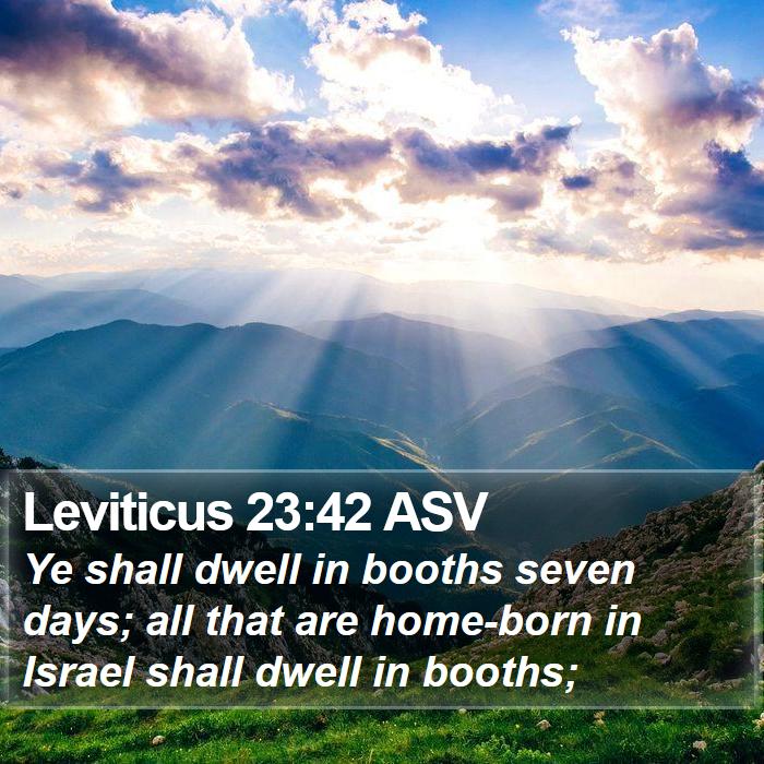 Leviticus 23:42 ASV Bible Study