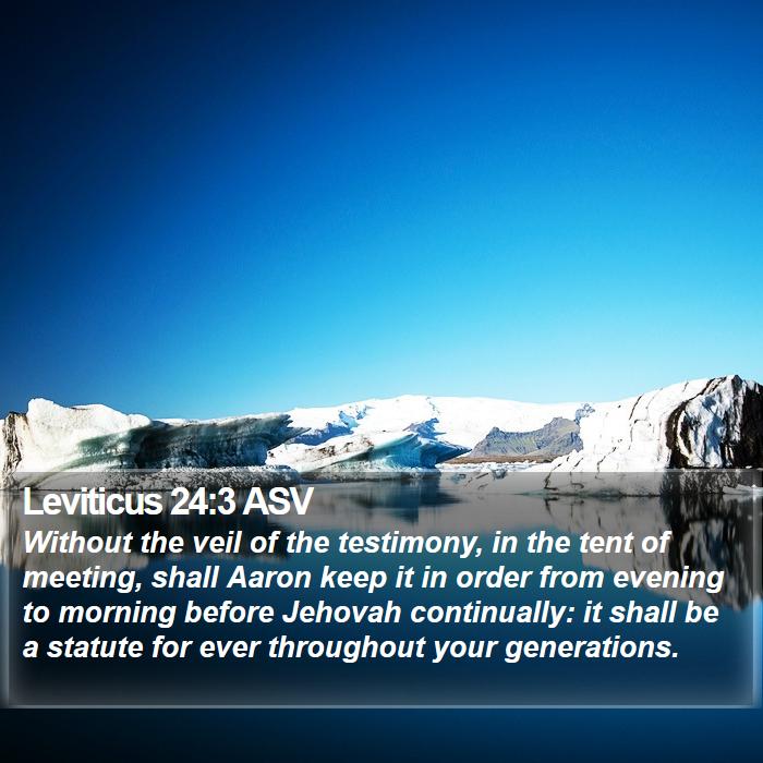 Leviticus 24:3 ASV Bible Study