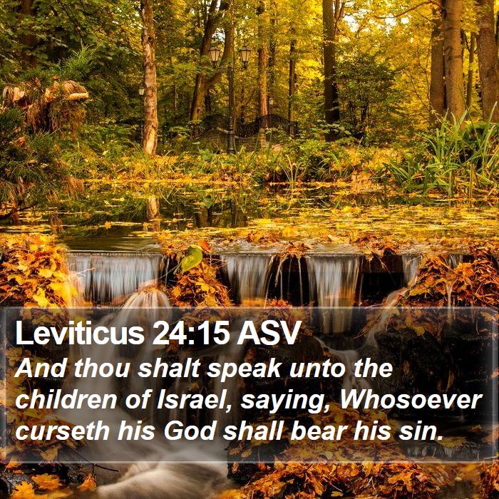 Leviticus 24:15 ASV Bible Study